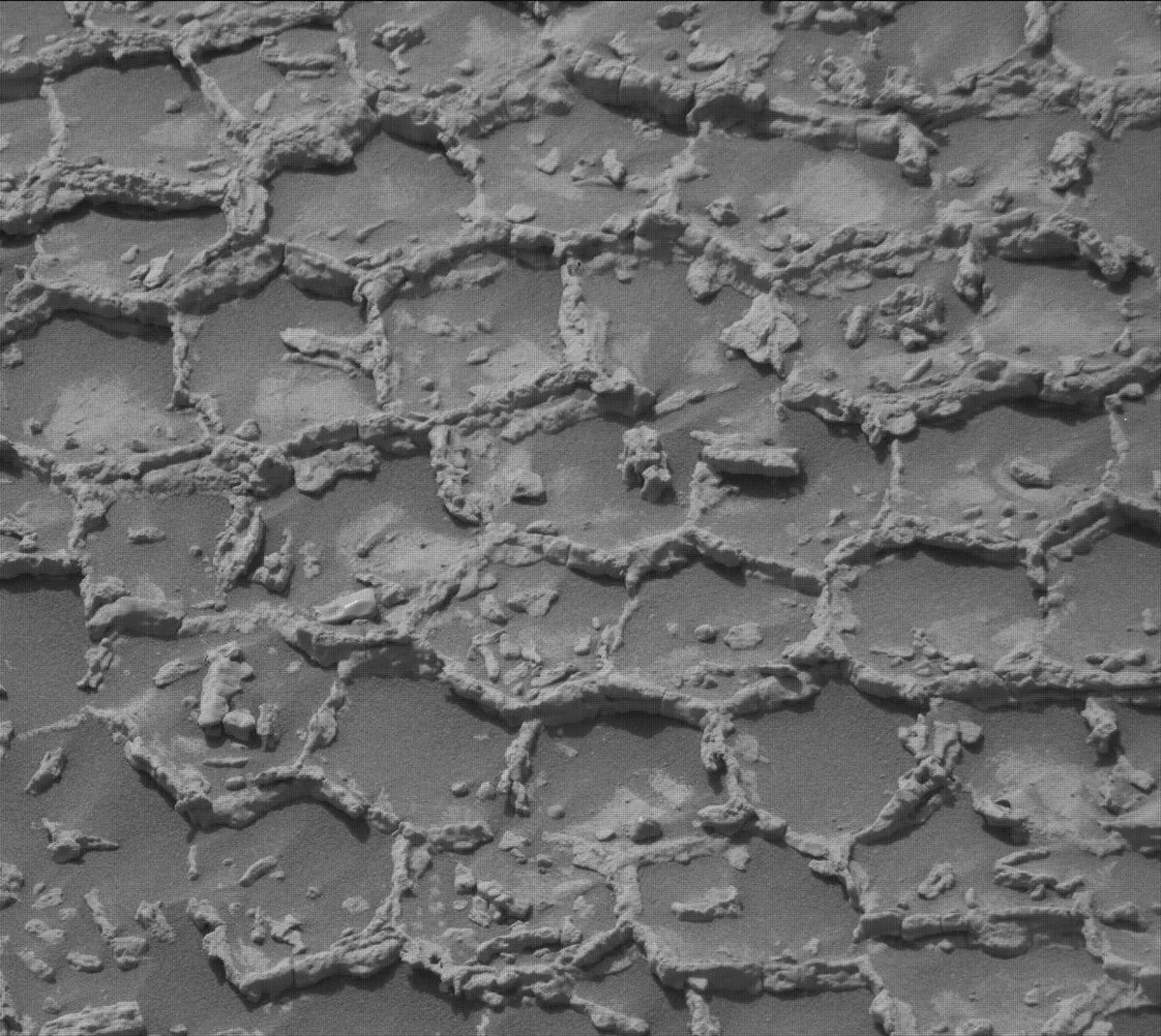 Тъмнотонни камъни сред полигоналния терен, заснети с Mastcam