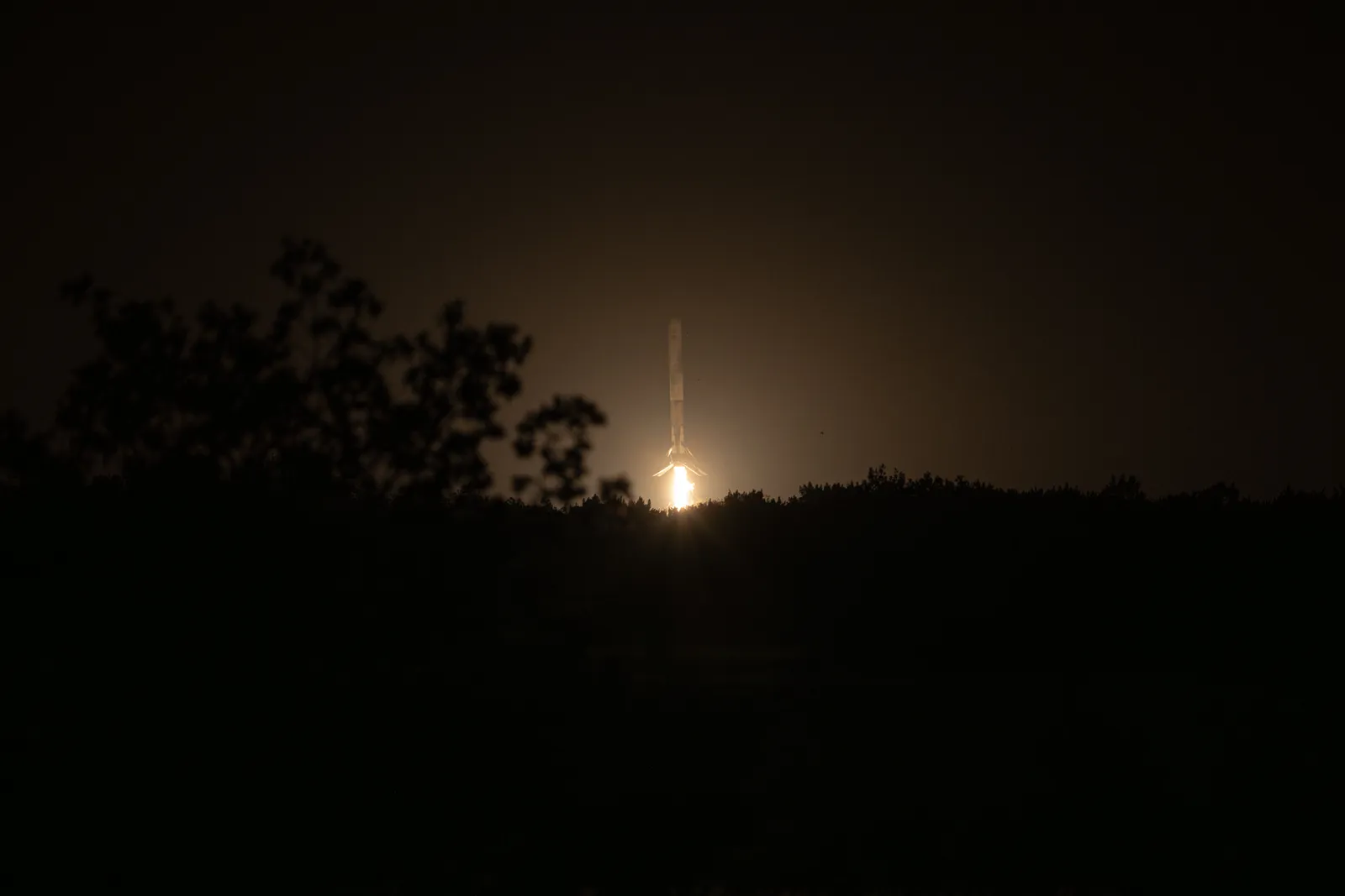 SpaceX печели повече от AI изчисления, отколкото от ракети