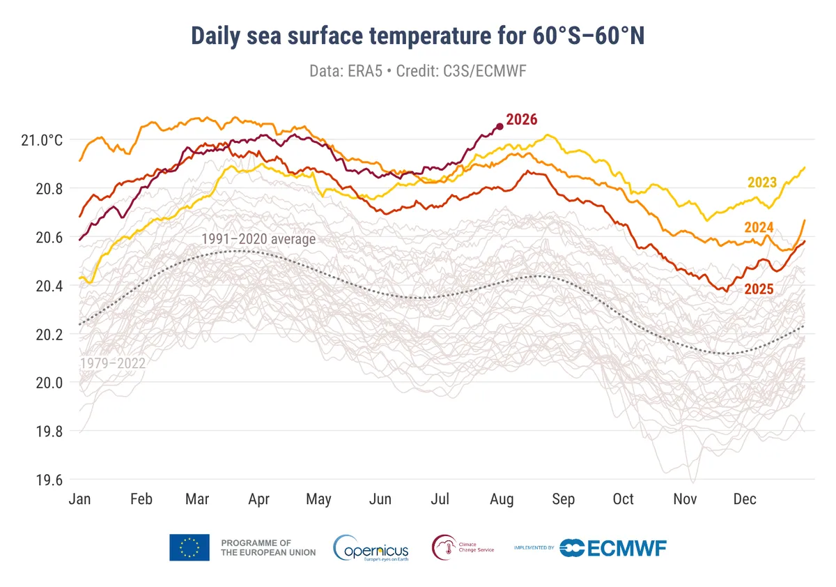 Дневна температура на морската повърхност за 60°Ю-60°С, 2026 г. спрямо предишни години